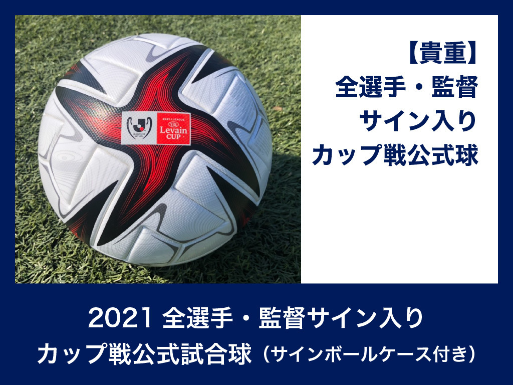 サッカーの神様ペレのサインボール 希少 Www Vetrepro Fr