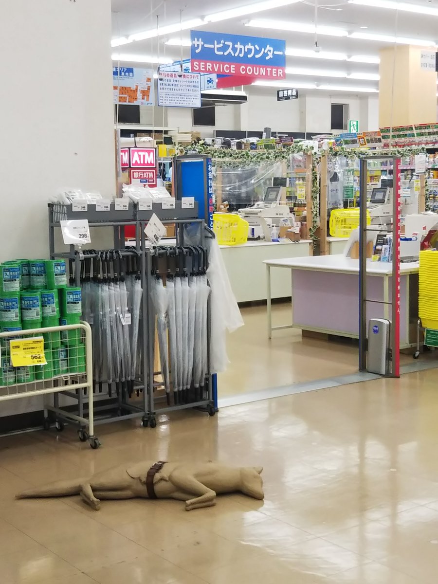 コーナン江東深川店に突如マーク マンダースの作品が展示されていた Togetter コーナン江東深川店に突如マーク マンダースの作品が展示されていた Togetter