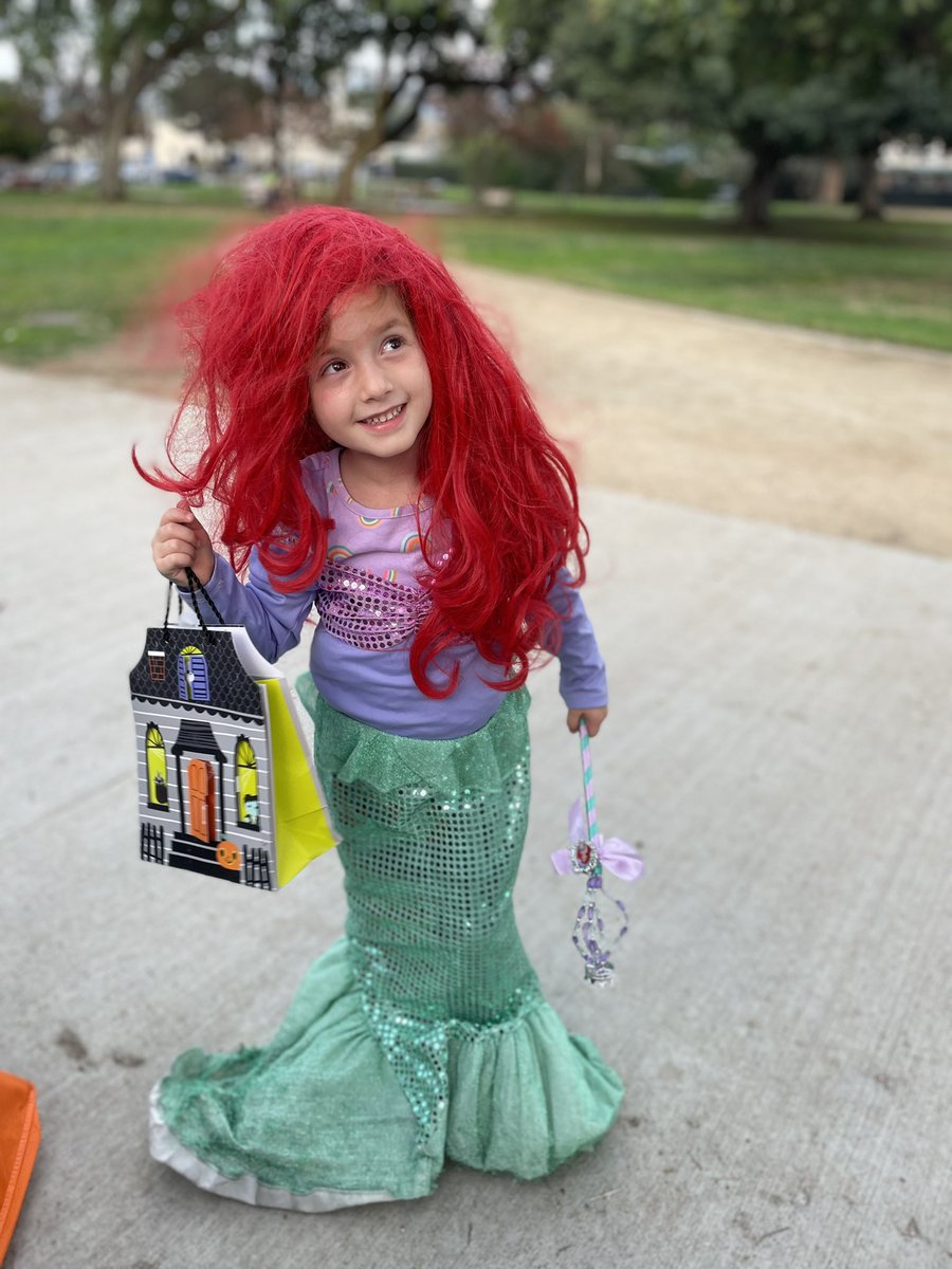 alfranken's tweet photo. Unfortunately, the Franken grandkids decided not to be cute this Halloween. https://t.co/bjVc4d8wQi