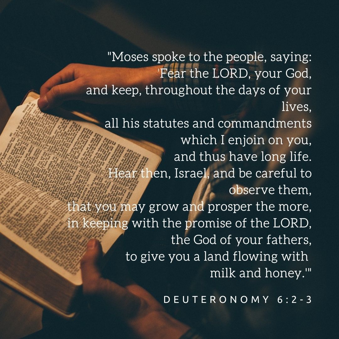 BrooklynDiocese's tweet photo. #SundayNightReflection - may we remember to keep God's commandments close. 🙏 https://t.co/wEn37vT9wW