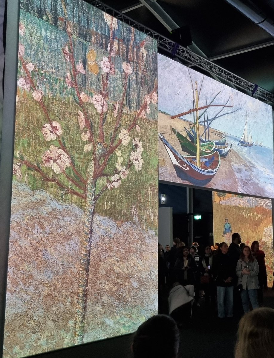 Lucia nicastri tweet media