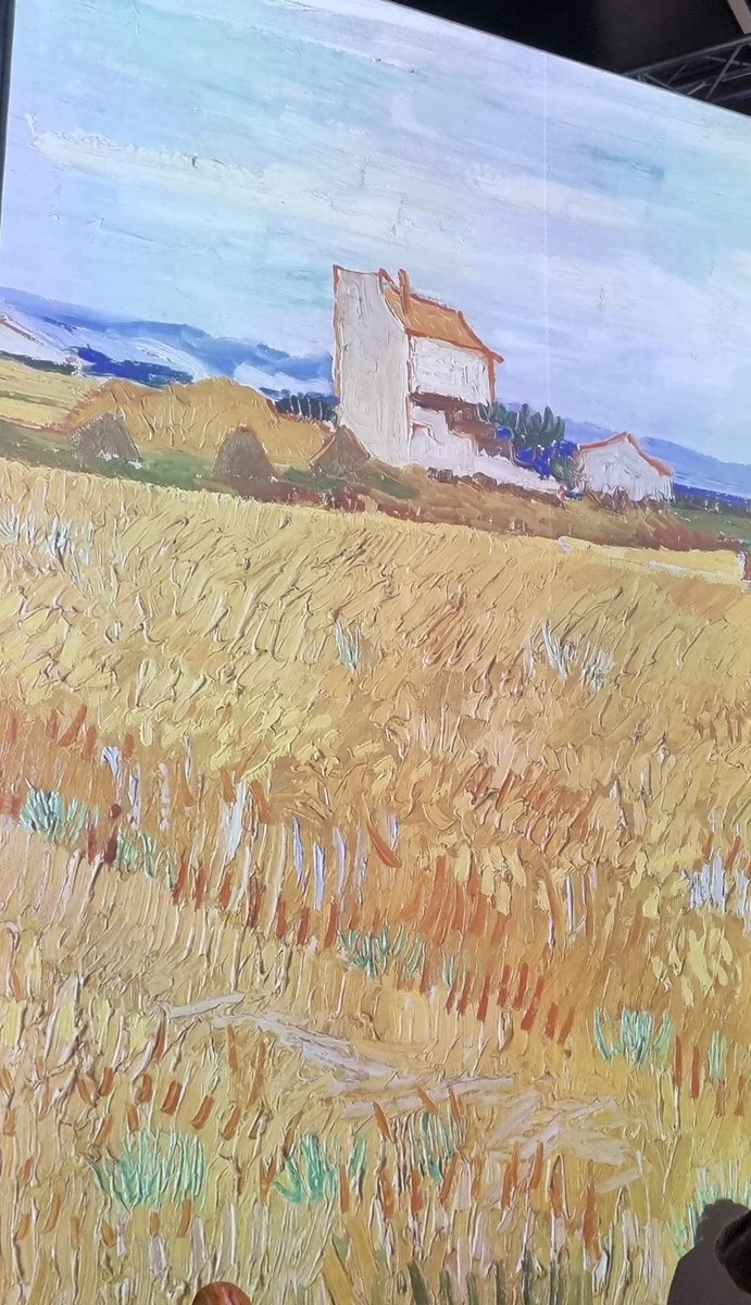 Lucia nicastri tweet media