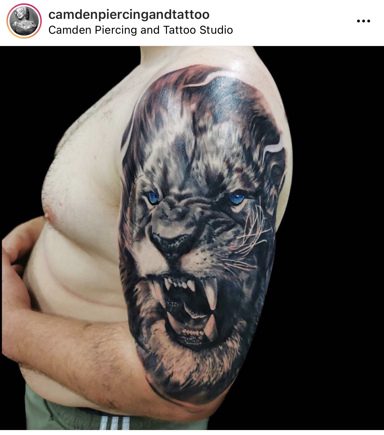 Camden Piercing & Tattoo Studio on X: Realistic lion by Roxy at Camden  Piercing and Tattoo Studio. 236 Camden High Street, London, UK. #tattoos  #london #camden t.cojCJFb7JXTu  X