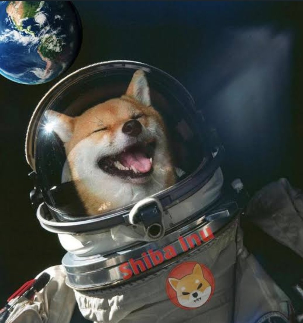 MVanhaar's tweet photo. $5000 $shib #Giveaway 
Just retweet and follow 
Ends in 24 hrs 
Wish you all a wonderfull day 😘
#shib #cryptocurrecy #BNB #NFTGiveaway #Giveaways #dogearmy #SHIB #shiba 🏆🏆🏆 https://t.co/uojVc9hCFX