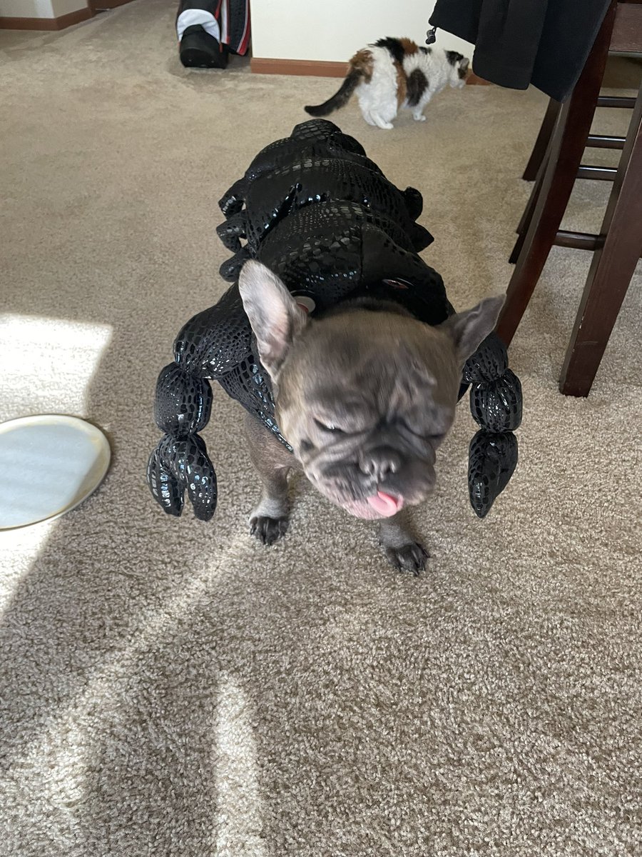 𝕔𝕒𝕝 tweet media