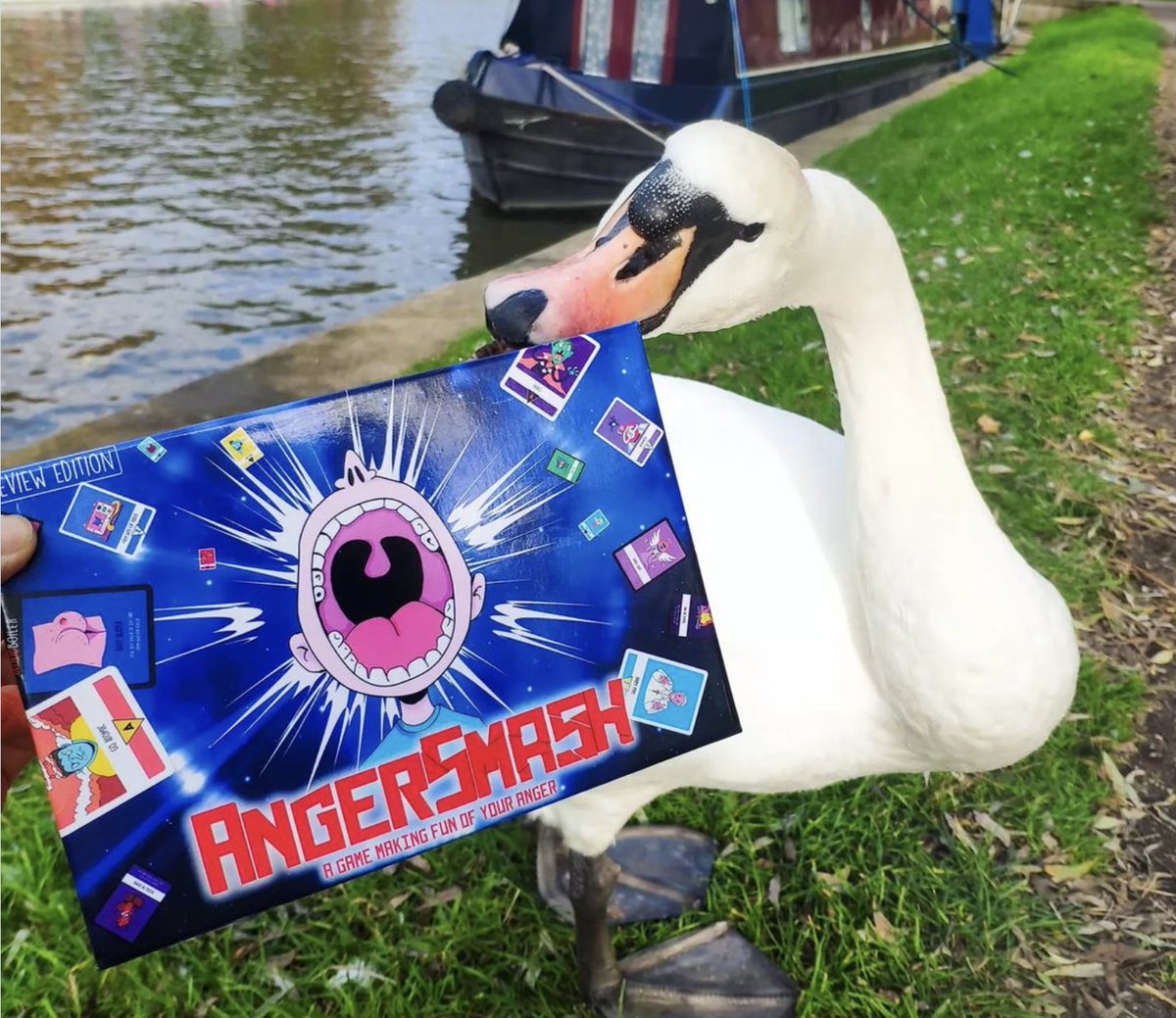 HowAmIWeird's tweet image. The swan wants to fight with #AngerSmash 🤼😀
AngerSmash is a strategy card game launching soon on #Kickstarter! Follow us to find more!

#indiegames #cardgames #boardgames #tabletopgaming #familygame #letsplay