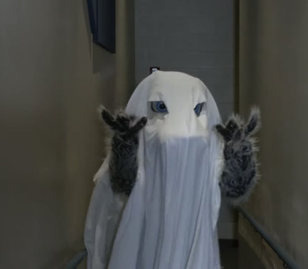 Have a happy (and safe) Halloween wolves!!!!! Stay spoopy 

#halloween #chandlerhigh #ghostchallenge