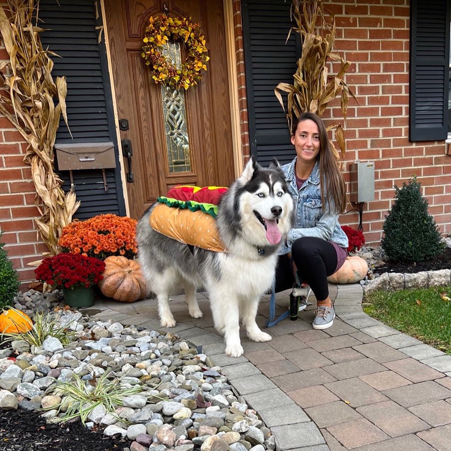 Mrs. Hoover tweet media