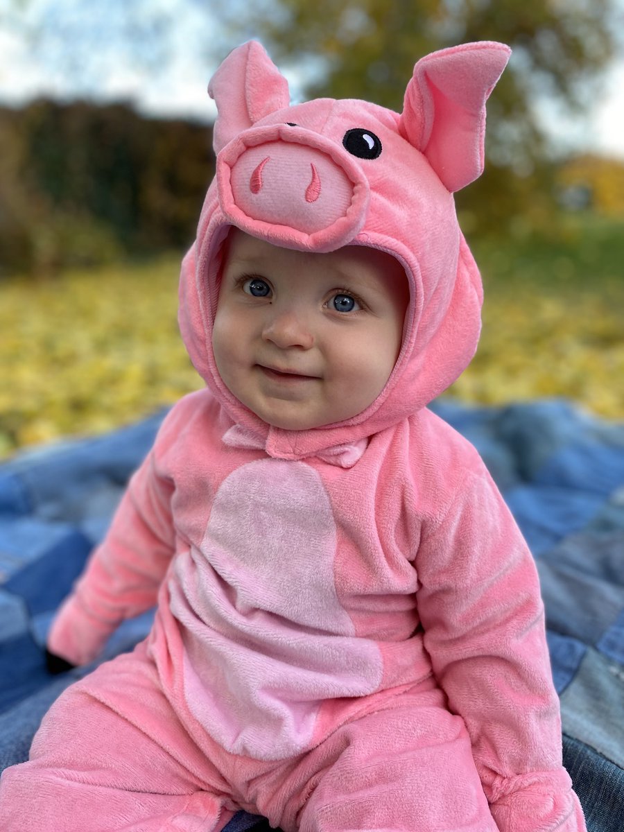 TyForce's tweet image. Happy Halloween from #GravityFalls