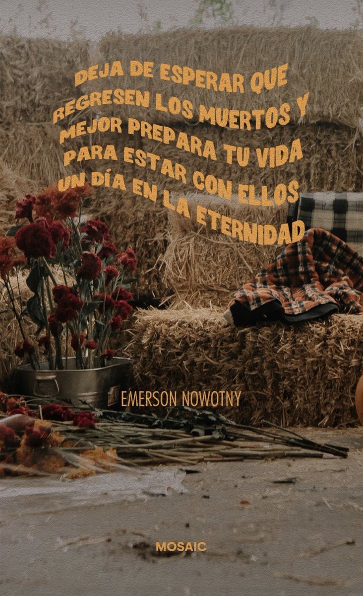 Kalik182Kalik's tweet photo. @MosaicMx my house 🤩🔥❤️ https://t.co/hQIOglyEq5