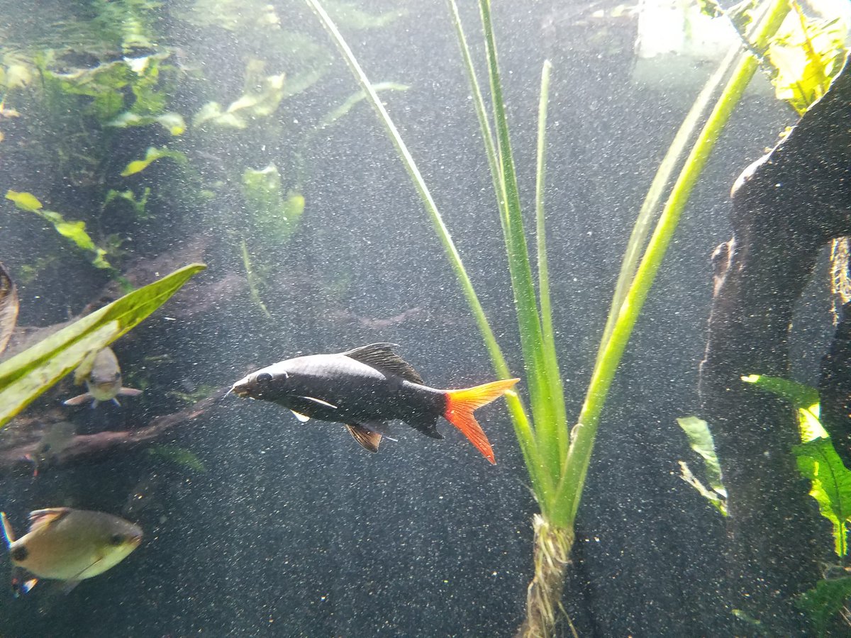 Dave Lawrence tweet media