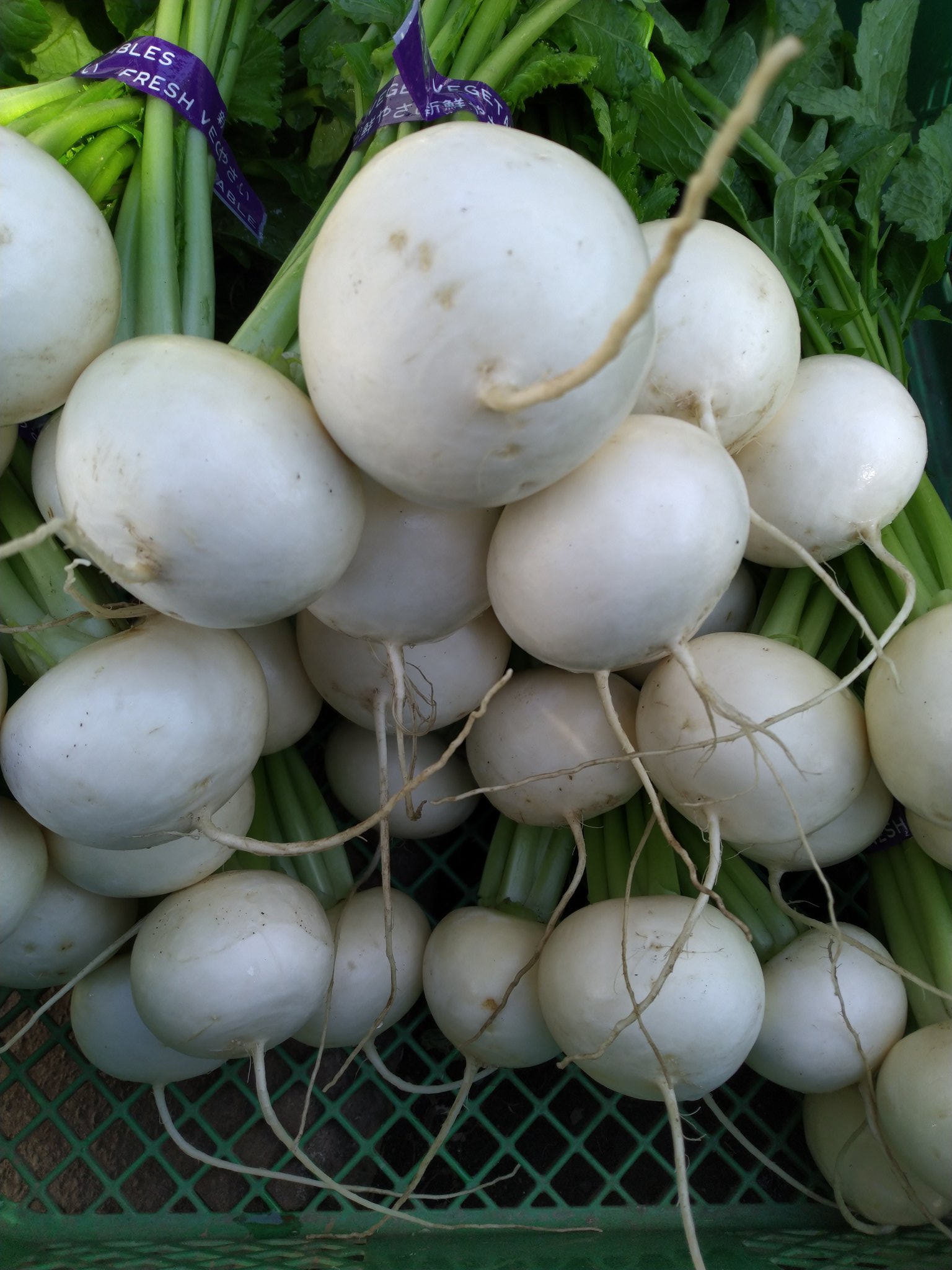 調布ベジトラスト 野菜直売所 11 1 11時頃から調布産採れたて野菜を直売します 葉付き大根 葉付き小カブ 新人参 里芋 八頭 赤ずいき 長ねぎ ほうれん草 姫冬瓜 などを販売します 今日から大根スタートです T Co