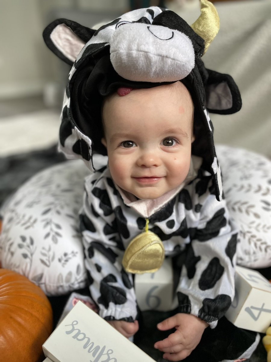 cknorrart's tweet photo. Happy Halloween! https://t.co/OEusm2zLDp