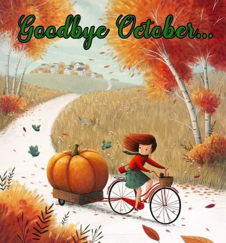 Blessed (@todaybeblessed) on Twitter photo 