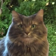 Susan Rudin on Twitter: