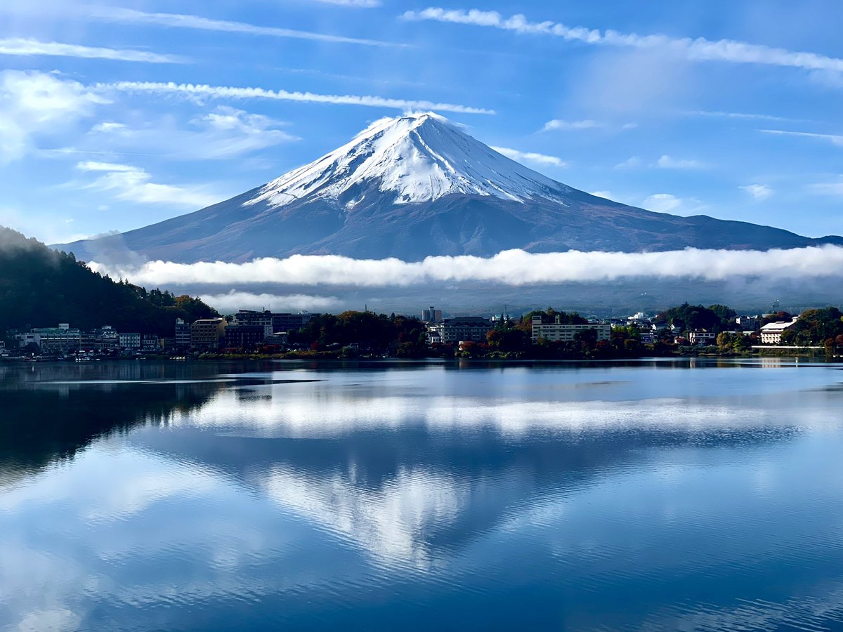 tinyintokyo's tweet image. The view from our room tho