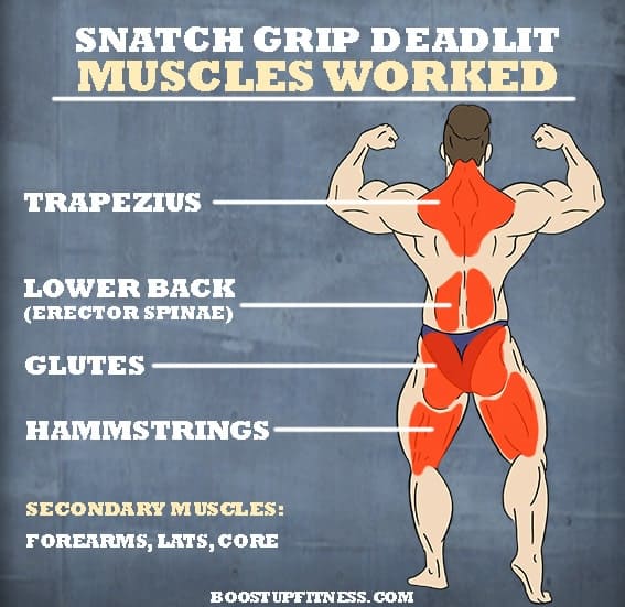 ShadowW3lch's tweet photo. I had friend tell me that I could have bigger trapz if I hit them more often. Good thing I have this variation of deadlift to do. #SnatchGrip #Deadlift https://t.co/9XyFkNo6mb