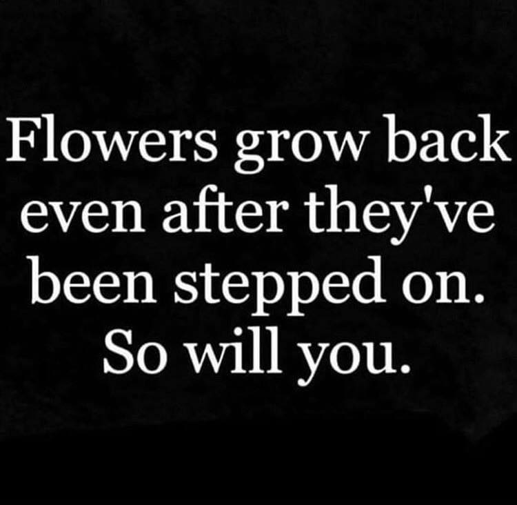 Russ Fulmore (@russf100) on Twitter photo 