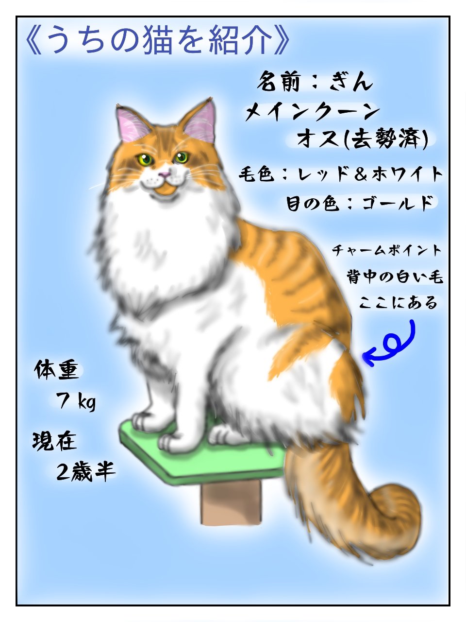モフモフ 9月の頭から タブレットで絵を描き始めました アプリでこんな絵が描けるなんて 知らなかった 感動 初めて描いた絵と 最近の絵です 笑 成長してるでしょうか 猫 ねこ 猫好き 猫漫画 動物漫画 猫好きさんと繋がりたい 自作 モフモフ 9月の頭から タブレットで絵を描き始めました アプリでこんな絵が描けるなんて 知らなかった 感動 初めて描いた絵と 最近の絵です 笑 成長してるでしょうか 猫 ねこ 猫好き 猫漫画 動物漫画 猫好きさんと繋がりたい 自作
