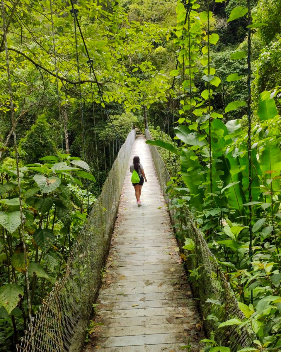 VisitaYopal's tweet photo. Puente colgante sobre la ruta a la #CascadaElZambo en #Tauramena #Casanare 😍 otro bonito destino para visitar este puente festivo 🤗 📸 #IG : marcelagmd https://t.co/ekwchkHYMs