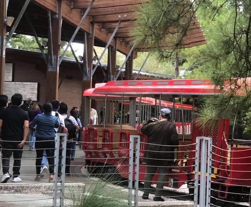 RachnaDar's tweet photo. Ready to ride on the beautiful train. #picoftheday #beautiful #trainlive #Happiness #enjoylife https://t.co/JUFbggmW2z