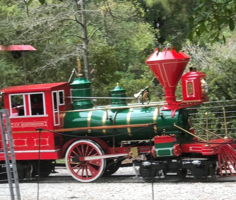 RachnaDar's tweet photo. Ready to ride on the beautiful train. #picoftheday #beautiful #trainlive #Happiness #enjoylife https://t.co/JUFbggmW2z