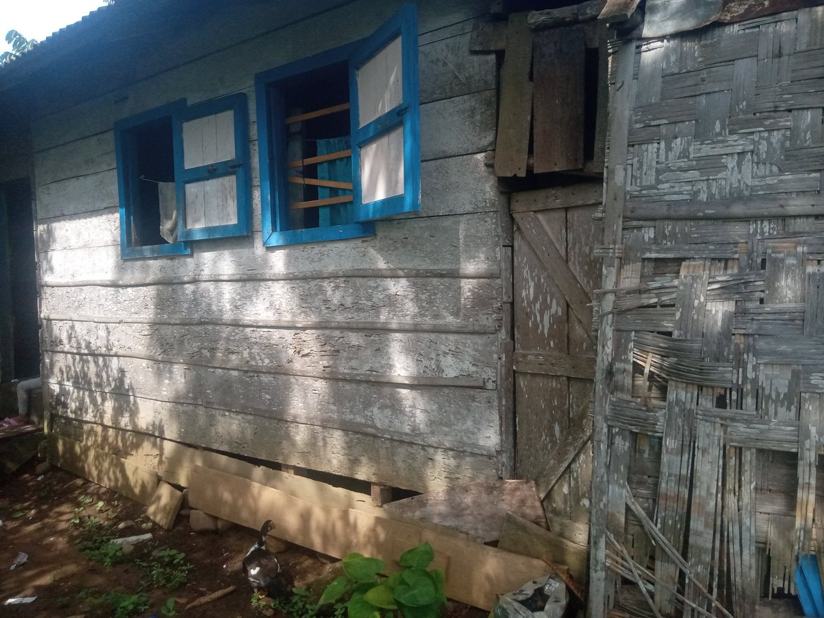 Please me 🤩 

I need funds for all this Please help 
Please me Give me Shiba..I want to keep it longer for the progress of the token   
Shiba bsc address me 🙏🙏🙏  0xec99602bf1ccb06e076bda6f73b3fa2c1a612579
Ethereum me 0xec99602bf1ccb06e076bda6f73b3fa2c1a612579

#SHIB #SHIBARMY