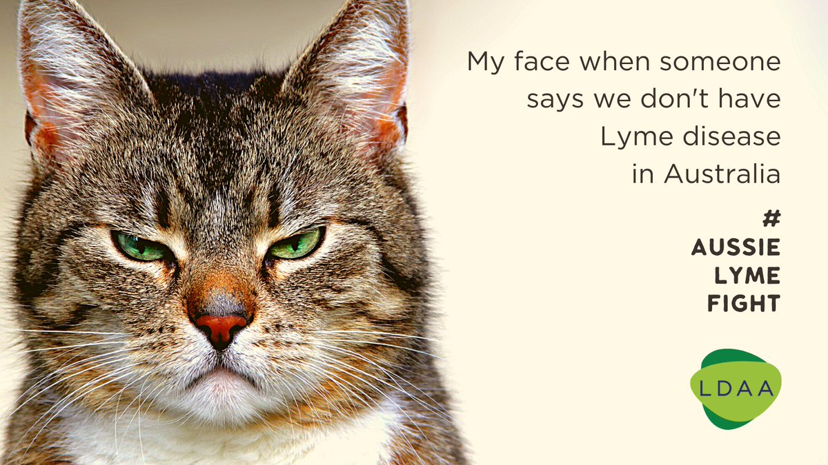 Why are Aussie doctors still gaslighting patients with "We don't have Lyme in Australia" 🤥 🤥 🤥 and breaching their fundamental right to timely and appropriate diagnosis and treatment?

Time to take action: bit.ly/39AiNMs