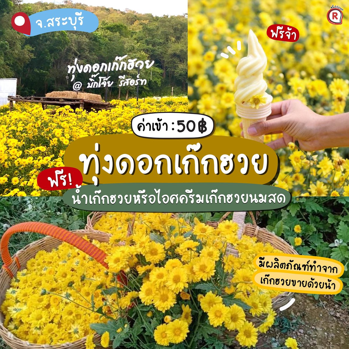 Redprice_50's tweet photo. #ชี้เป้า รวมที่เที่ยวสวนดอกไม้ ค่าเข้าเริ่มหลักสิบ
ถ่ายรูปสวย แสงธรรมชาติไม่ง้อฟิลเตอร์ 🌤️
ขับรถไปกลับได้สบาย ๆ ไปค่ะ! 🚗💐 https://t.co/Tn4nu1mYOg