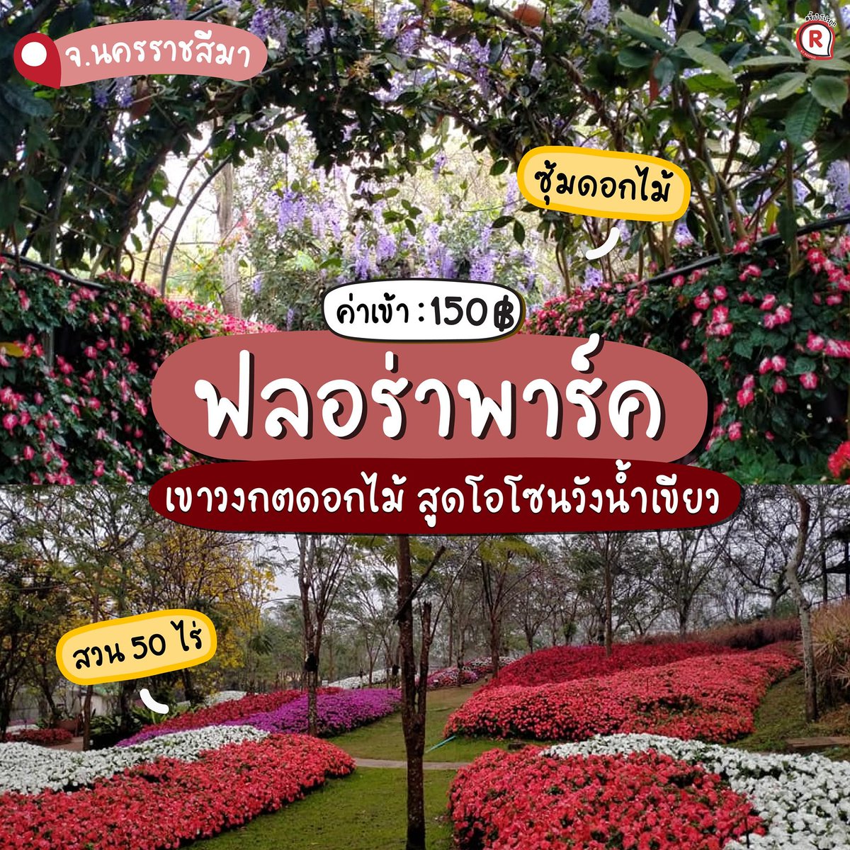 Redprice_50's tweet photo. #ชี้เป้า รวมที่เที่ยวสวนดอกไม้ ค่าเข้าเริ่มหลักสิบ
ถ่ายรูปสวย แสงธรรมชาติไม่ง้อฟิลเตอร์ 🌤️
ขับรถไปกลับได้สบาย ๆ ไปค่ะ! 🚗💐 https://t.co/Tn4nu1mYOg