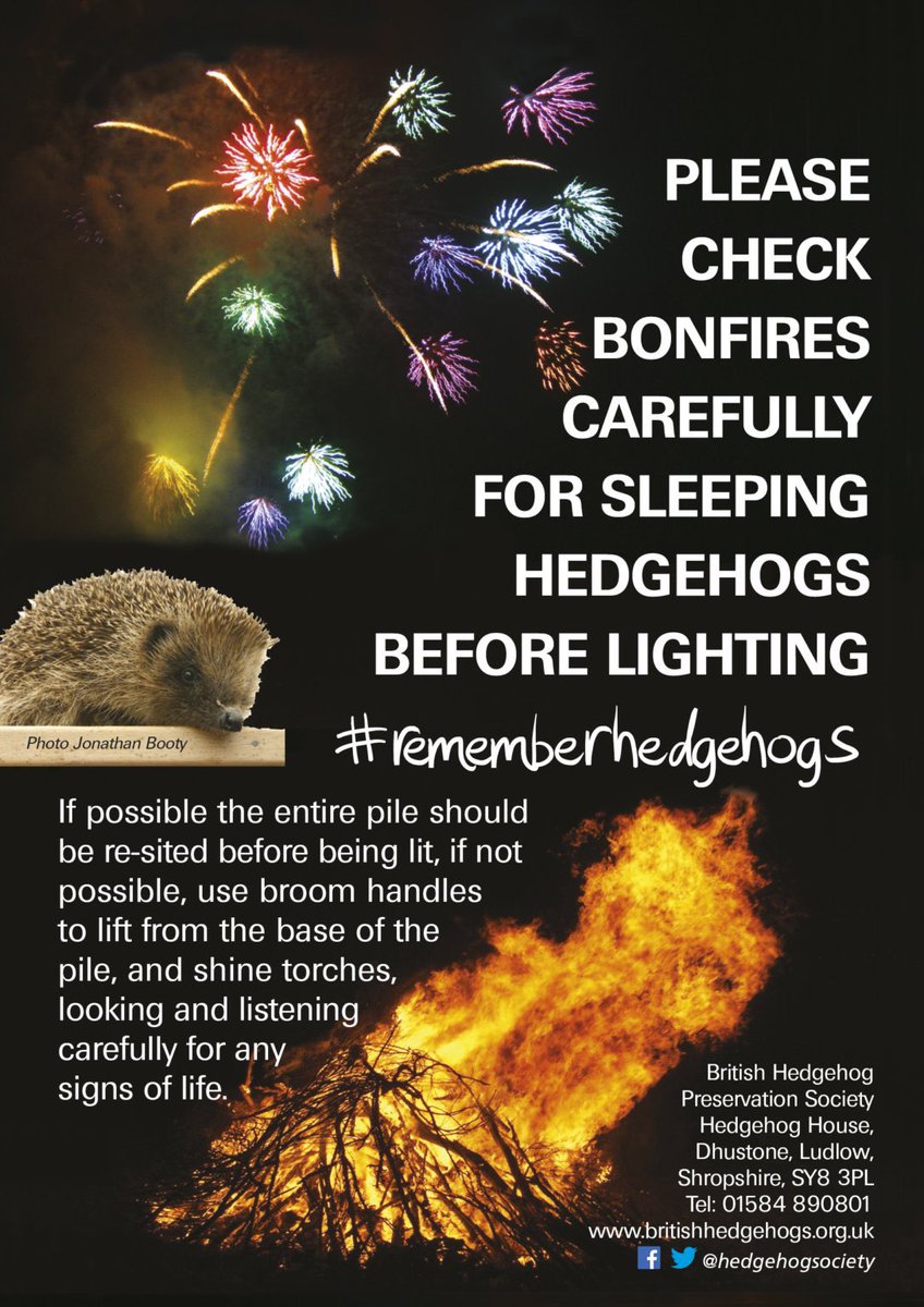 Good morning furends. It’s November & time to start thinking about our hibernating pals. Especially this week. Please check your bonfires carefully if you are having them & remember to stay indoors away from those bangy things. Stay safe pals  #nobangs21 #rememberhedgehogs