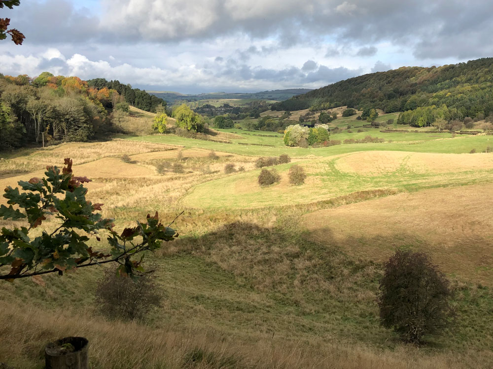 peakdistrict's tweet image. #MondayMotivation

Views from #HaddonPark looking towards #Bakewell. 🥰

Where will you be exploring this week?

#PeakDistrictProud #PeakDistrict70