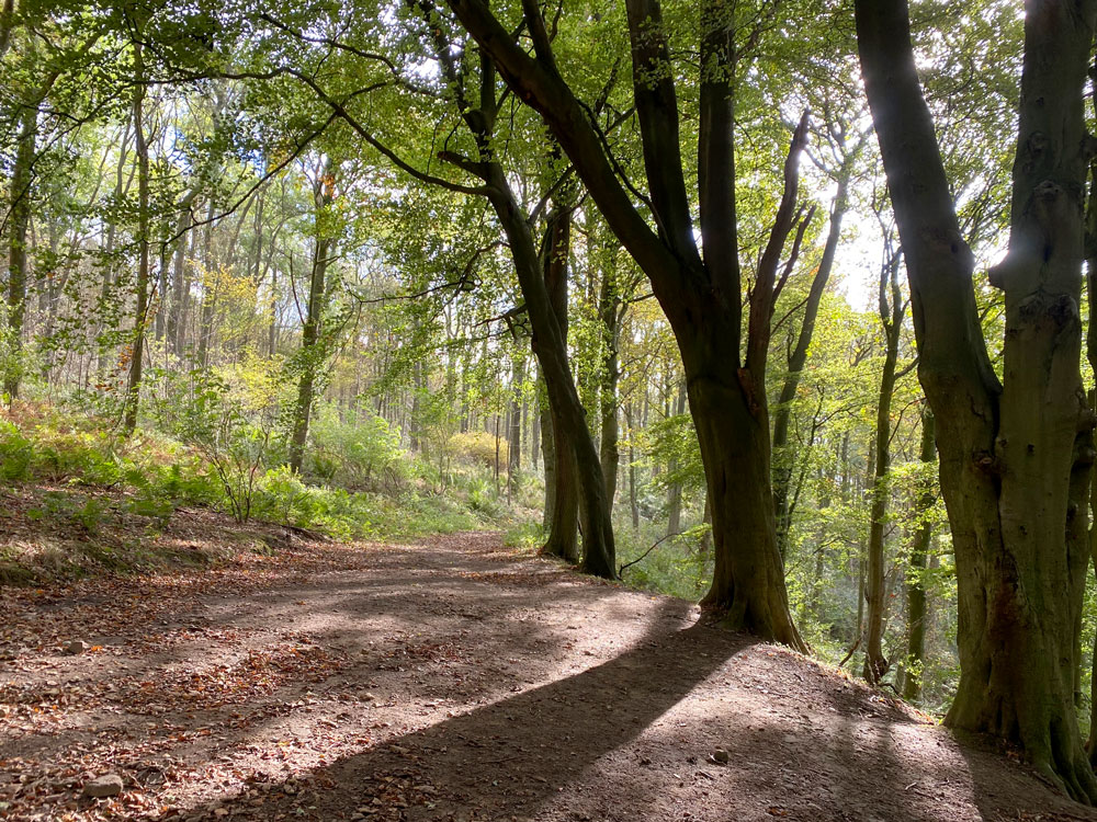 peakdistrict's tweet image. #MondayMotivation

Views from #HaddonPark looking towards #Bakewell. 🥰

Where will you be exploring this week?

#PeakDistrictProud #PeakDistrict70