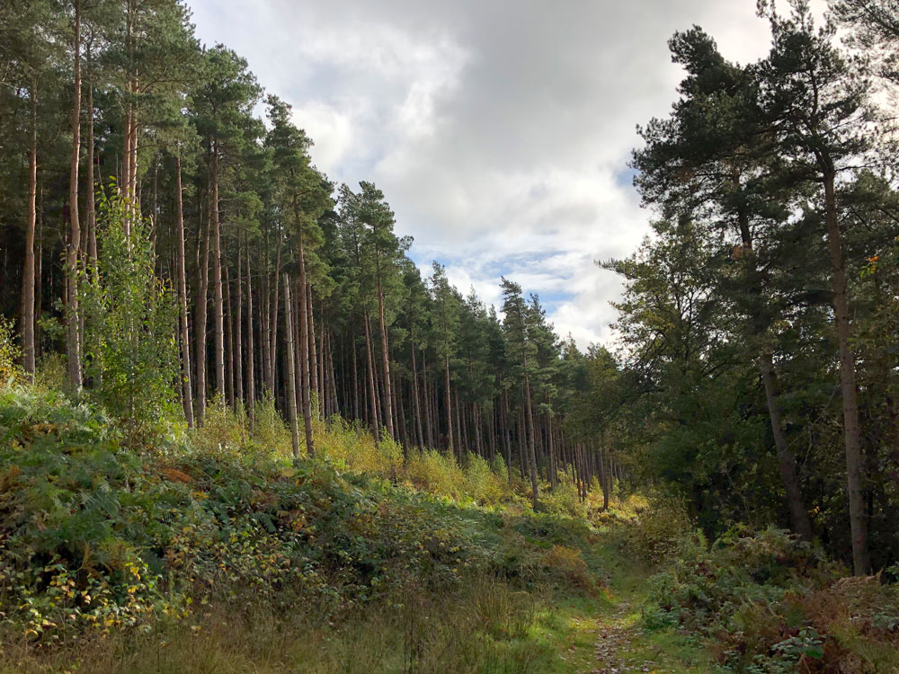 peakdistrict's tweet image. #MondayMotivation

Views from #HaddonPark looking towards #Bakewell. 🥰

Where will you be exploring this week?

#PeakDistrictProud #PeakDistrict70