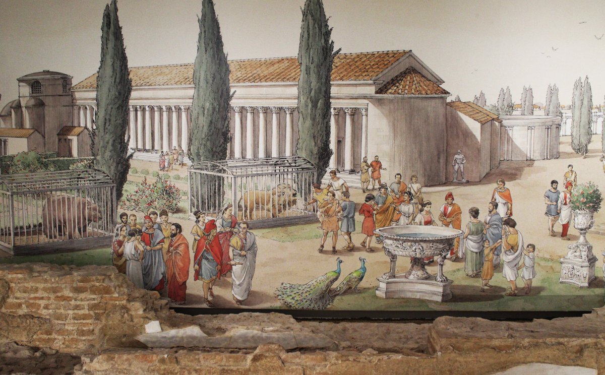 ScuditRoma's tweet photo. Sfiziosissimo.
Un bel pezzo di Horti Lamiani ora visibili in un allestimento molto ben fatto sotto il Palazzo Enpam a PIazza Vittorio. Consigliatissima la visita e consigliatissimo un pezzo di pizza bianca da "Roscioli" appena usciti. https://t.co/UlvJtY7MeF