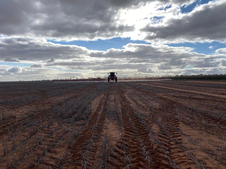 AgrifacAU's tweet photo. Campbell from #WyalkatchemWA says he’s stoked to receive his new #Agrifac #CondorEnduranceII with a 49m boom and 250mm #StrictSprayPlus 👌
“He’s is looking forward to getting through harvest so he can test the rig out,” says @mattydurack, #AgrifacAU WA Territory Manager. https://t.co/MvkLW2k4pg
