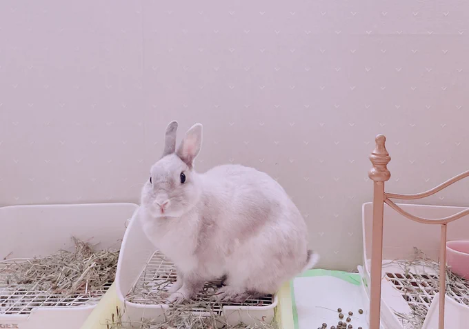 写真にセリフつけてみた 