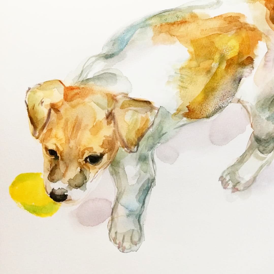 Twoucan ジャックラッセルテリア の注目ツイート イラスト マンガ コスプレ モデル