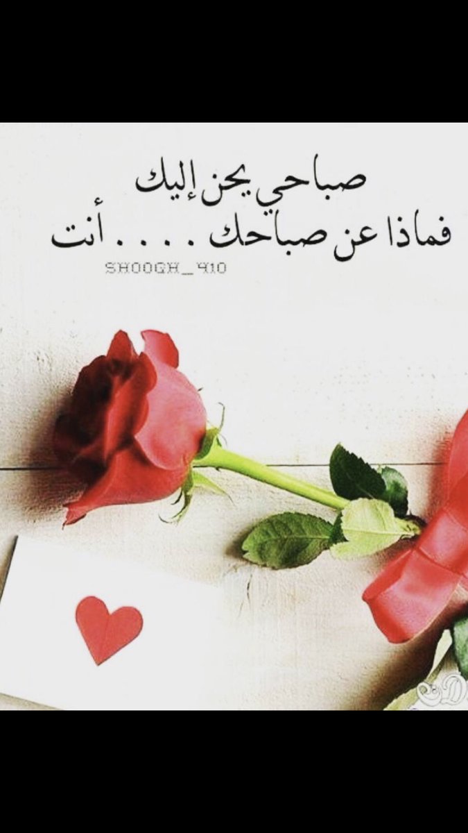 mmesh1230's tweet photo. صبااحي متابعين راقــين فمذا عن صباكم 😘🌼💐 https://t.co/mxrRCfGuhQ