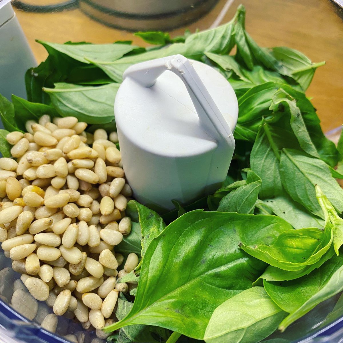 mrfothergill's tweet photo. When growing your own basil, the aim by any gardener is to be able to grow enough to make your own pesto.
Here is a recipe: https://t.co/aRJcKOEY3a
Enjoy!
#Basil #BasilPlants #PestoRecipe #PestoPasta #GlutCropCooking #growyourown https://t.co/NTawS0TmnZ