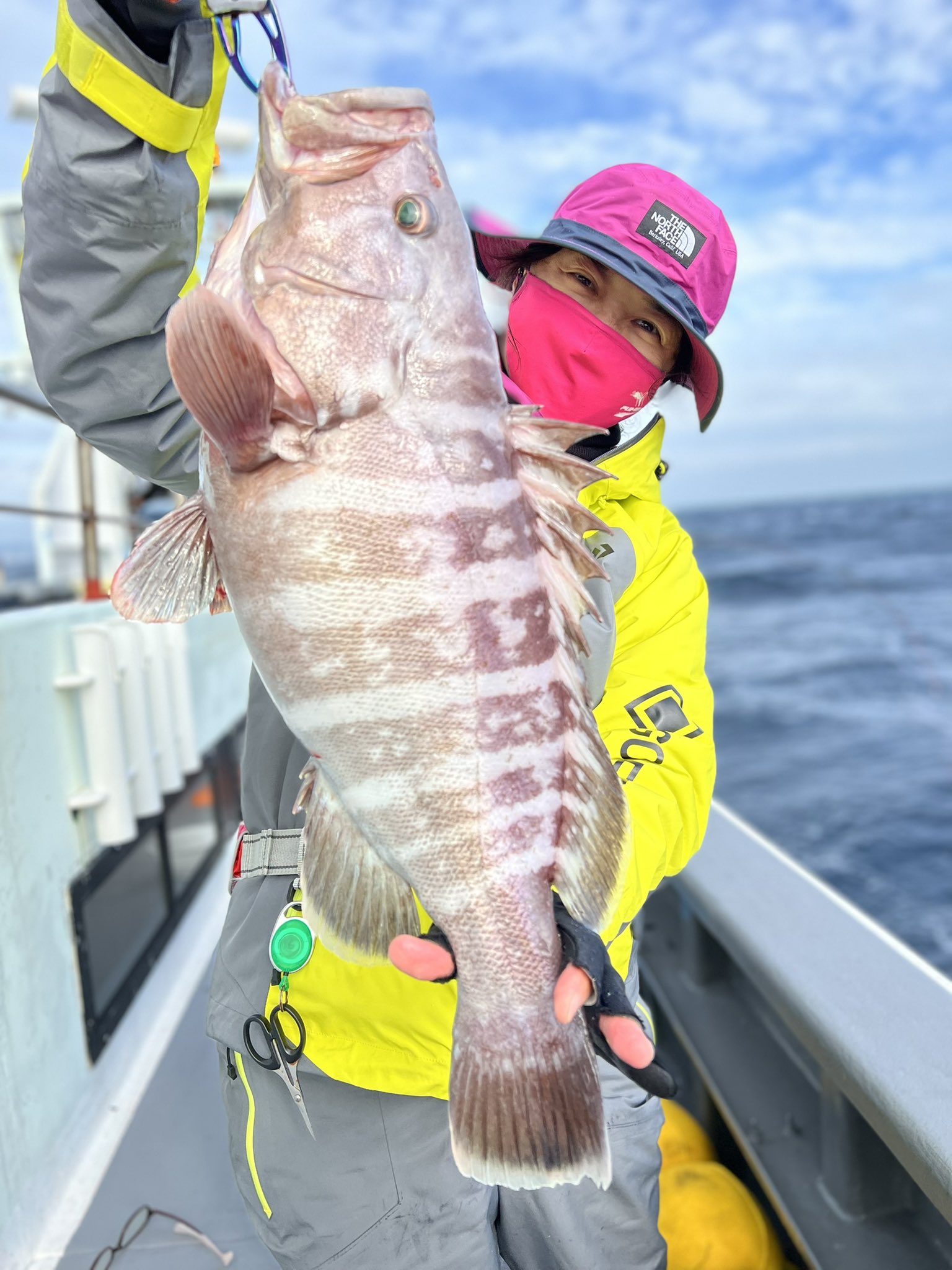 釣り好き芸能人 Twitter Search Twitter