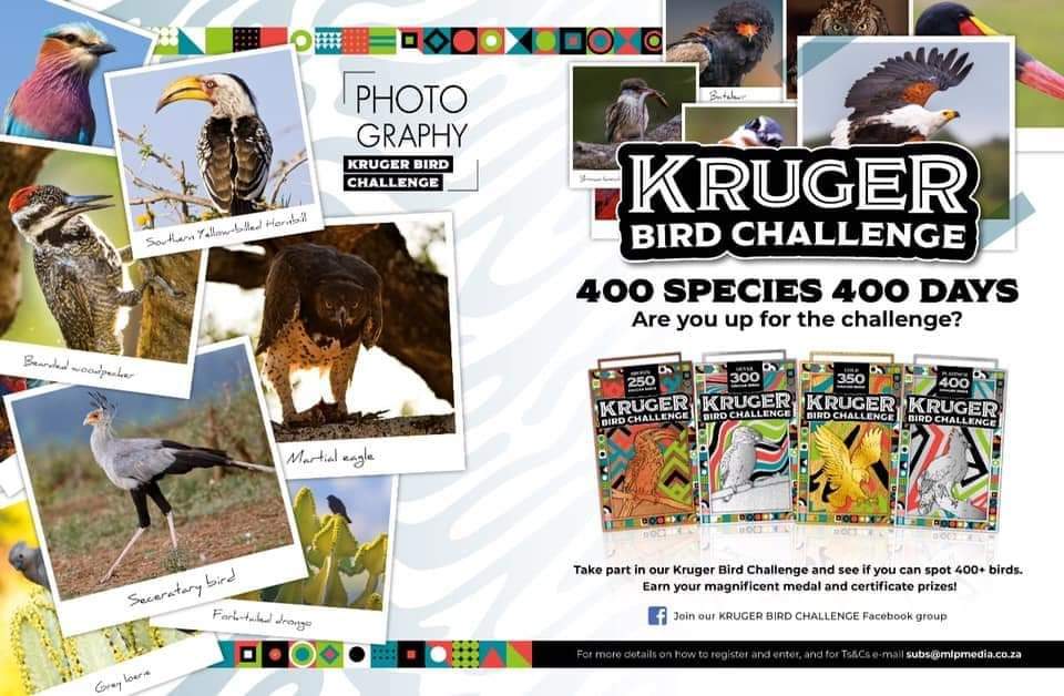 MagazineKruger's tweet photo. Are you up for the challenge?
Earn you amazing Medal &amp; Certificate 
Email subs@mlpmedia.co.za to register &amp; enter.
Species can be recorded anywhere in Southern Africa !!
#safari #birds #birders #birding #birdwatching #wildlifephotography https://t.co/pl6Td9TOHQ