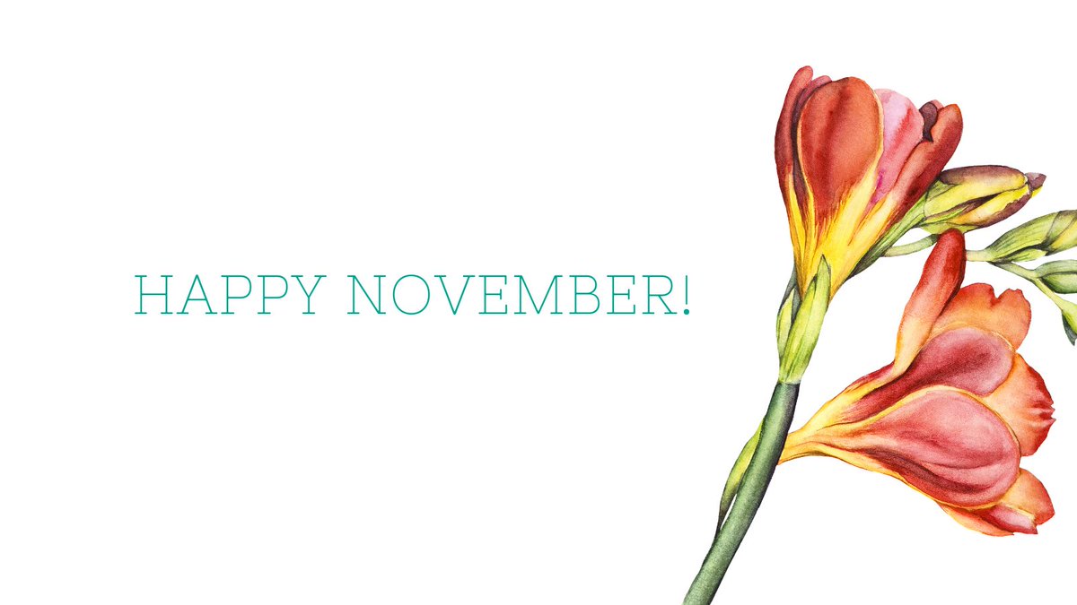 Happy new month! Wishing you a very prosperous November 💚