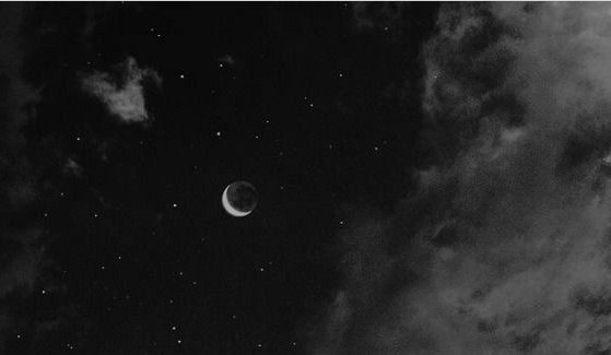 KausAustralis15's tweet photo. ☆~𝑴𝒚 𝒇𝒊��𝒔, 𝒅𝒓𝒂𝒃𝒃𝒍𝒆𝒔, 𝒂𝒏𝒅 𝒎𝒐𝒓𝒆~☆ https://t.co/0oK1gCfzh4