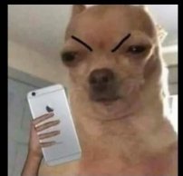 owureku_dueces's tweet photo. Mood rn IPhone 6😠
#Dware https://t.co/ZfyNKGHBOJ
