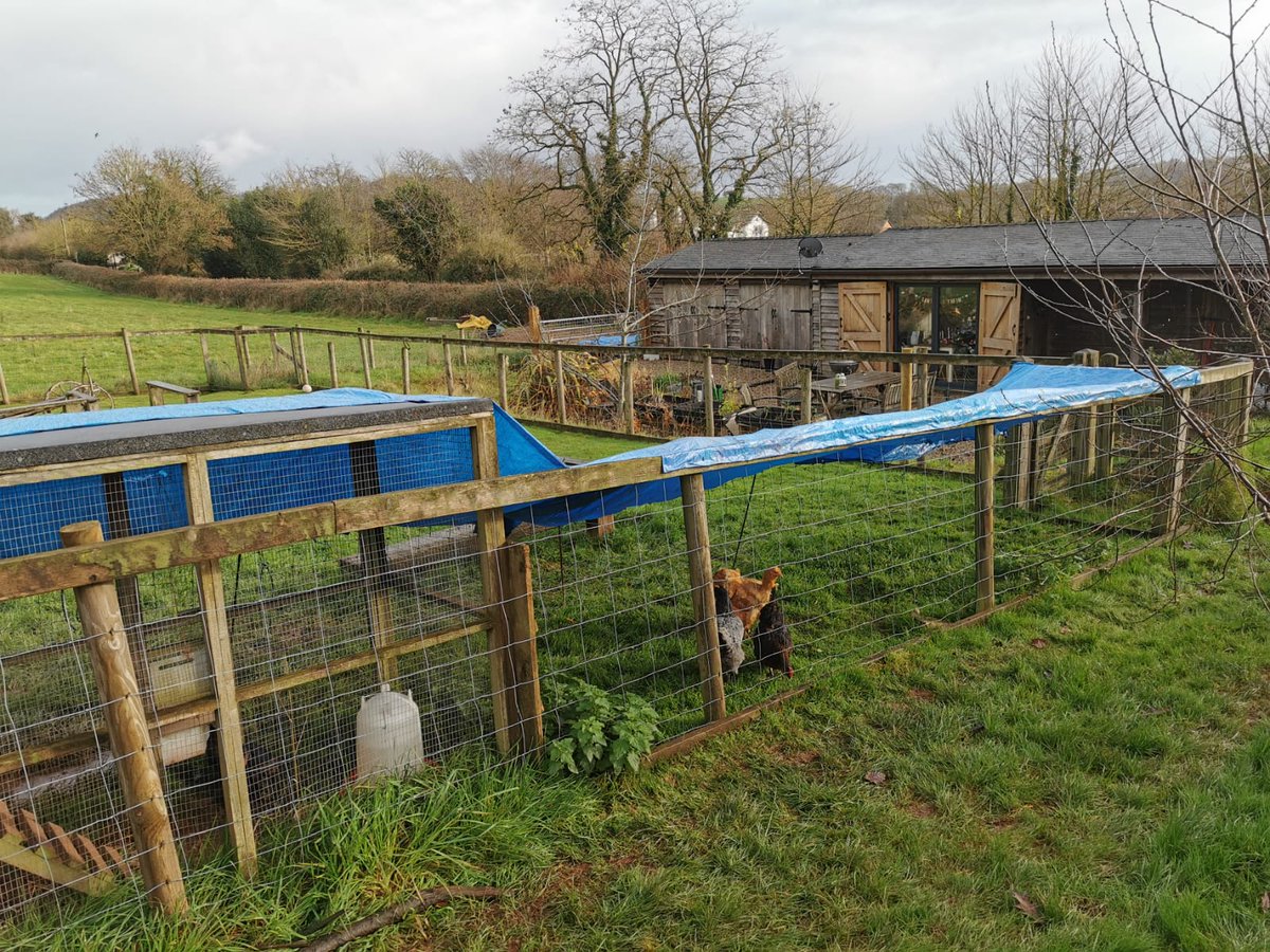 #AvianInfluenza can spread by bird-to-bird contact and via body fluids &amp; faeces, contaminated feed and water. Put feed and water undercover so wild birds can't access it. gov.uk/government/new… <a href="/BHWTOfficial/">British Hen Welfare Trust</a> <a href="/FSFH_Official/">Fresh Start For Hens - Official</a> #Chickens #PetChickens  #Smallholders