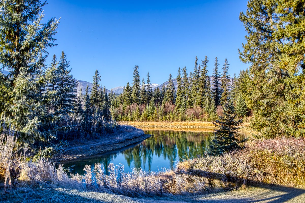 FHSresort's tweet photo. It was a crisp beautiful clear day for the finale of the golf season at #RiversideGolfCourse today.
Thank you to everyone who joined us this season. See you again in 2022
📷@ChrisConwayca
#CVGolfTrail #FairmontHotSprings #CanadianRockies #KootenayRockies #Golf #FHSRmemories https://t.co/nU5KPRyjAL