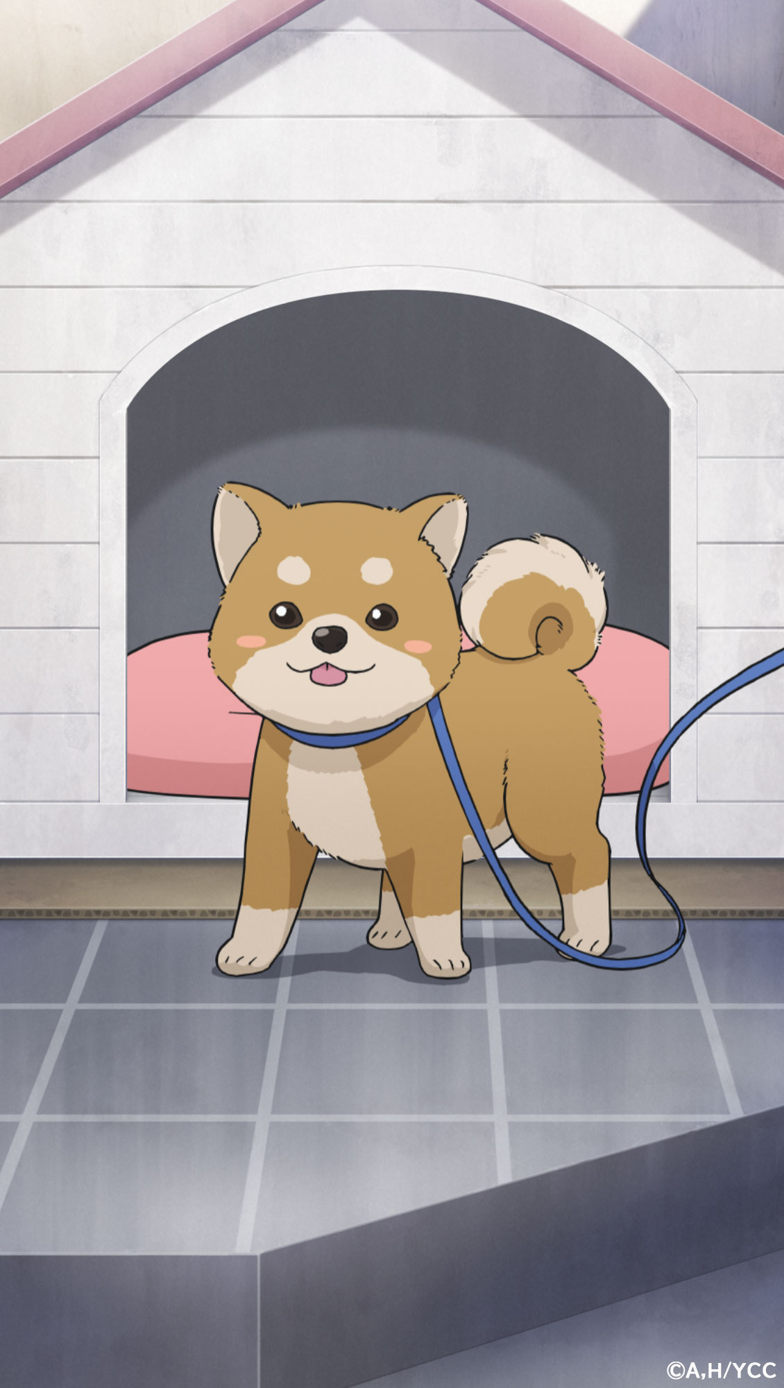 アニメ ゆるキャン シリーズ公式 映画大ヒット上映中 本日11 1は 犬の日 ゆるキャン に出てくるワンコたち大集合です 見てるだけで癒されます ゆるキャン T Co Hzfngthead Twitter