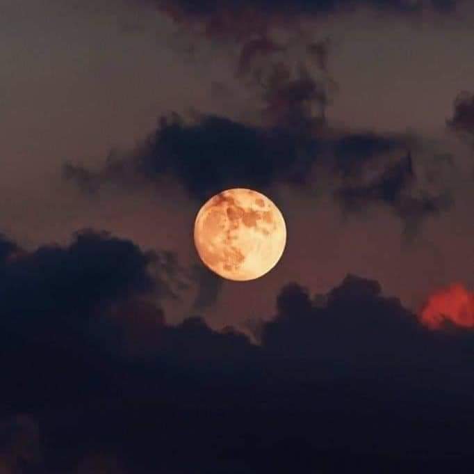 nxstypxet's tweet photo. Te dedico la última luna de Octubre. ✨🌙 https://t.co/KbaTaArOnq