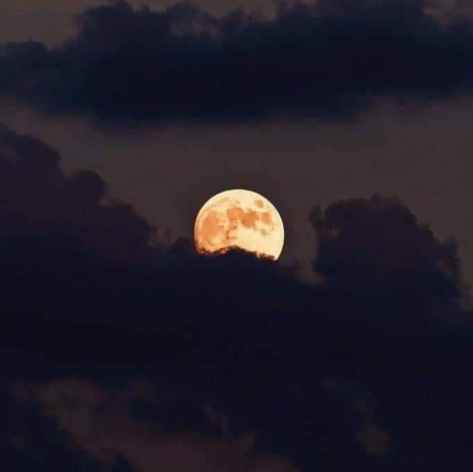 nxstypxet's tweet photo. Te dedico la última luna de Octubre. ✨🌙 https://t.co/KbaTaArOnq
